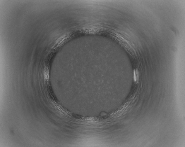 X0000115521155200911201653