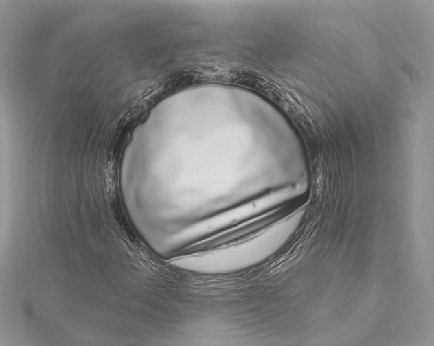 X0000115521156200911201653