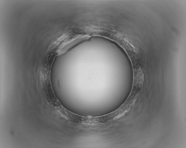 X0000115521157200911201653