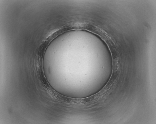 X0000115521158200911201653