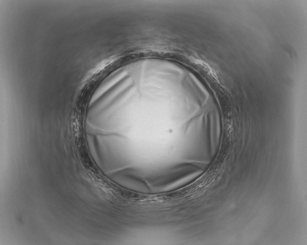 X0000115521159200911201653