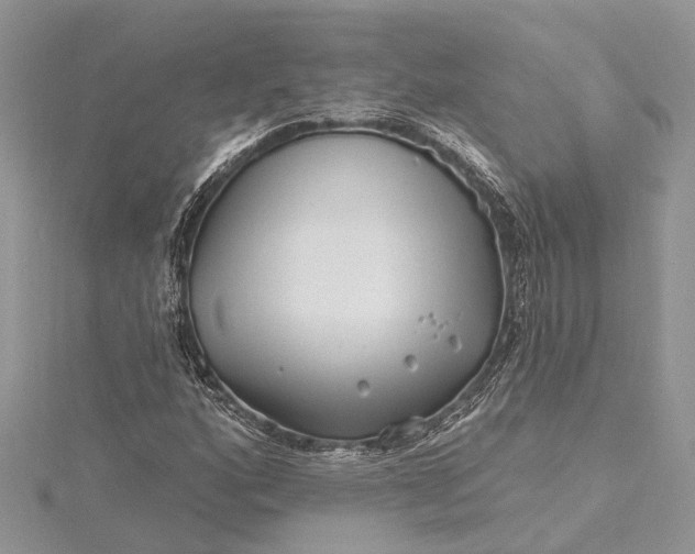 X0000115521160200911201653