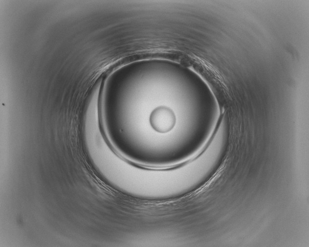 X0000115521161200911201653