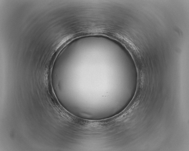 X0000115521162200911201653