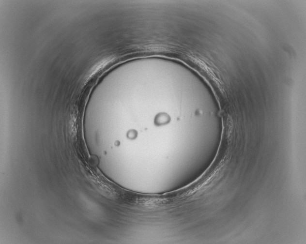 X0000115521163200911201653