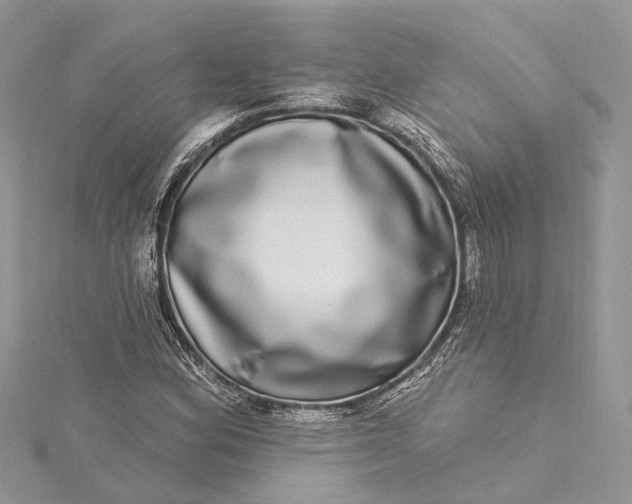 X0000115521164200911201653