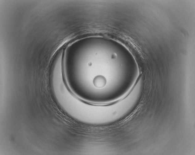 X0000115521165200911201653