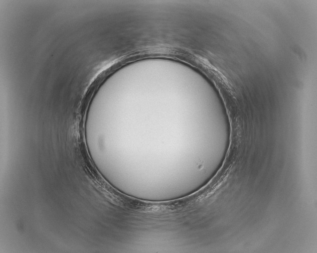 X0000115521166200911201653