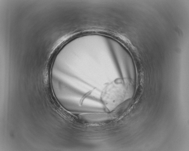 X0000115521167200911201653