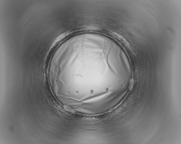 X0000115521168200911201653