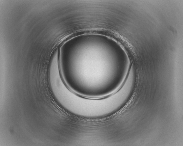 X0000115521169200911201653