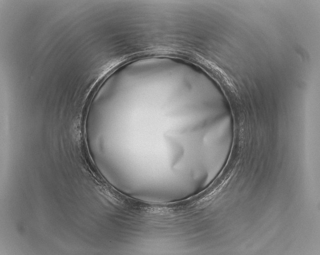 X0000115521170200911201653