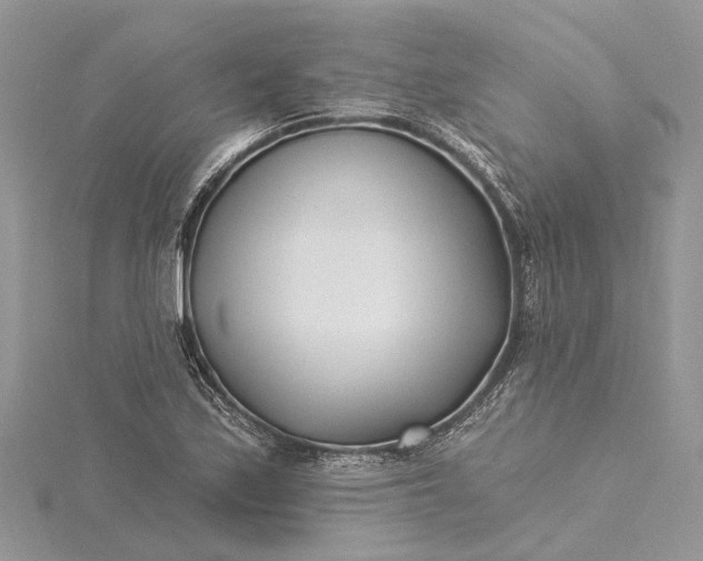 X0000115521171200911201653