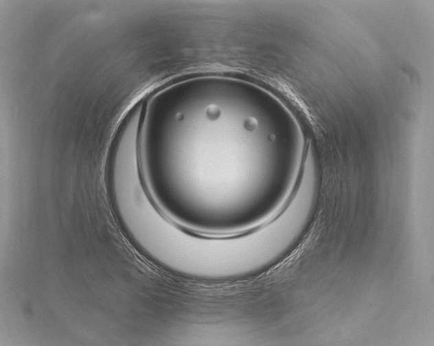 X0000115521173200911201653