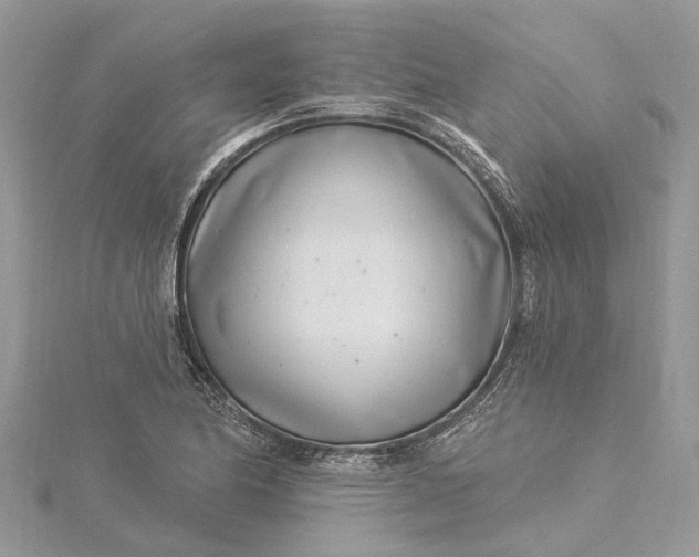 X0000115521174200911201653