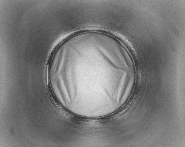 X0000115521175200911201653