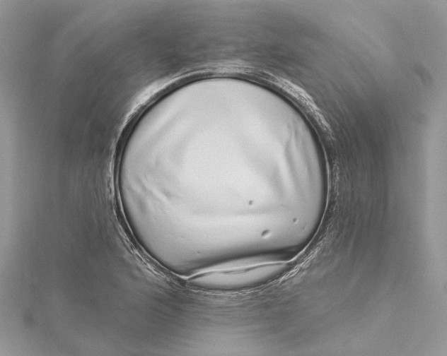 X0000115521176200911201653