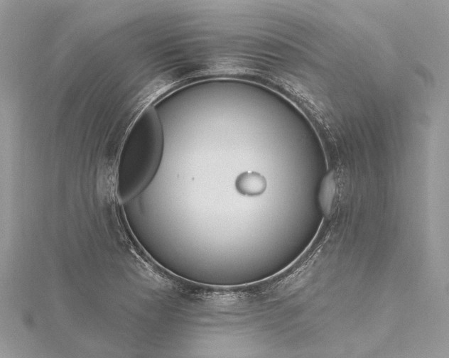 X0000115521177200911201653