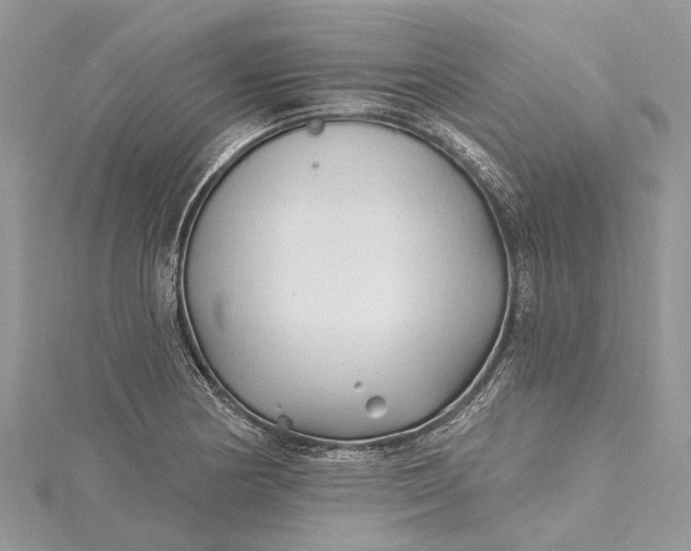 X0000115521178200911201653