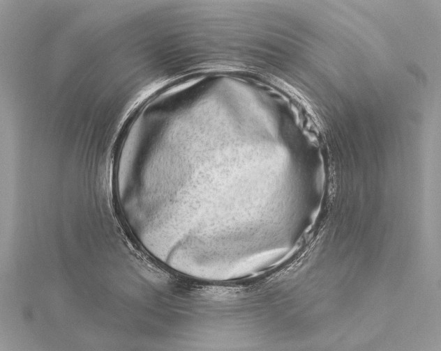 X0000115521179200911201653