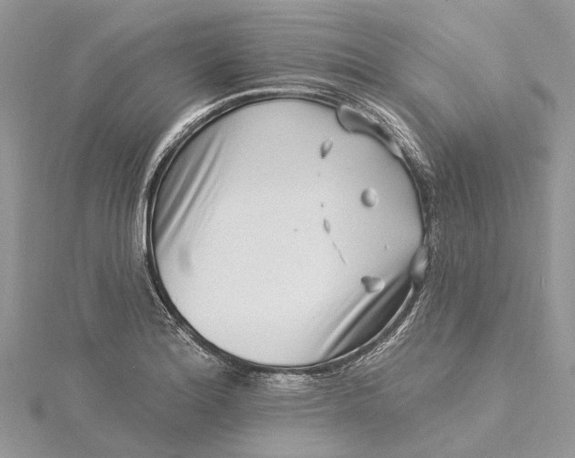 X0000115521180200911201653