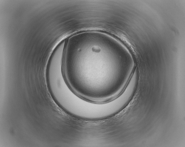 X0000115521181200911201653