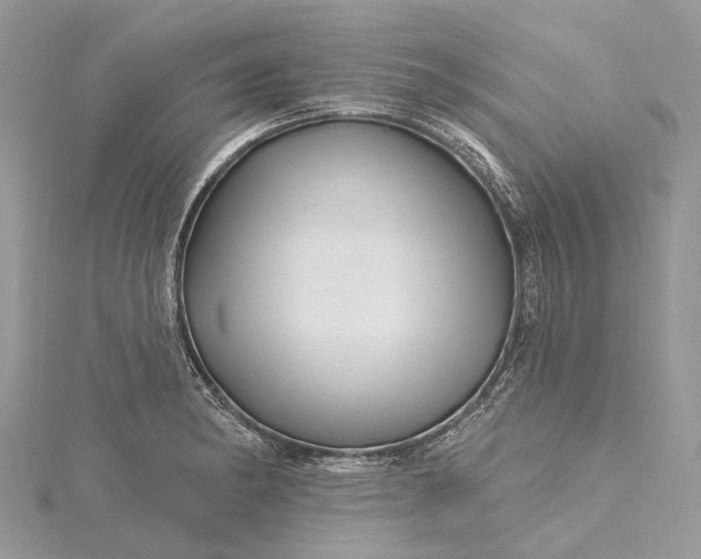 X0000115521182200911201653