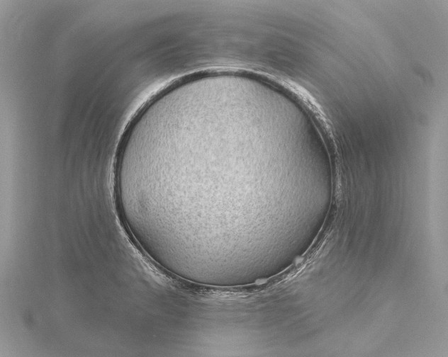 X0000115521183200911201653