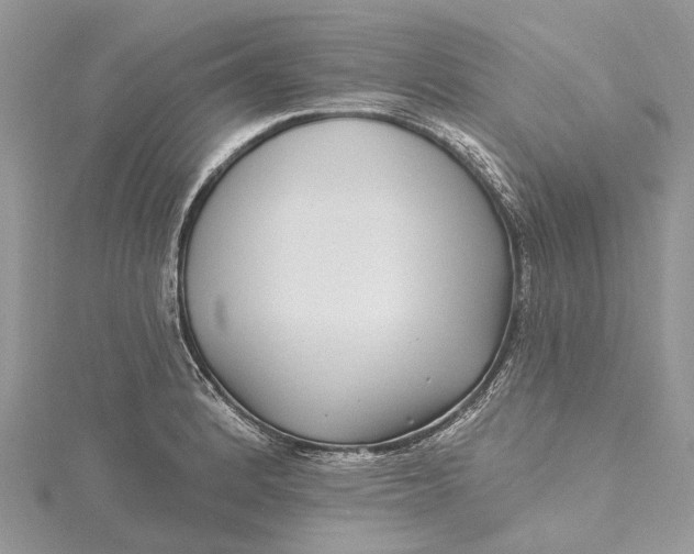 X0000115521184200911201653