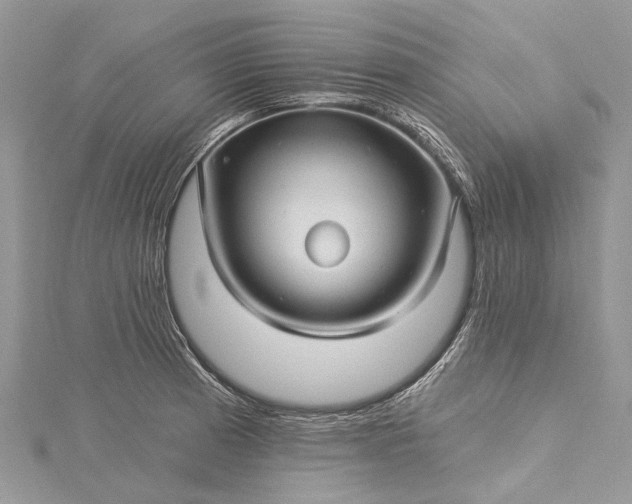 X0000115521185200911201653