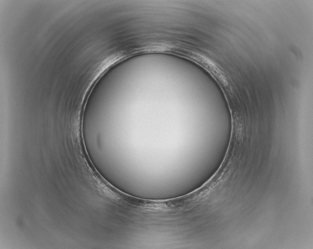 X0000115521186200911201653