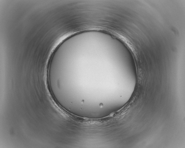 X0000115521187200911201653