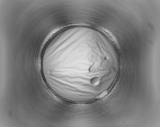 X0000115521188200911201653