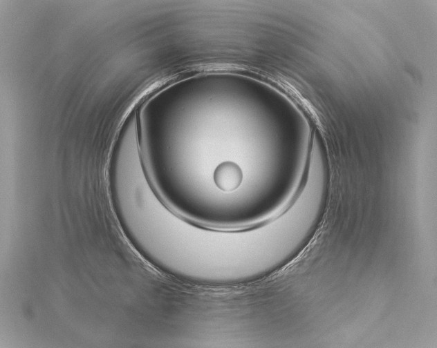 X0000115521189200911201653