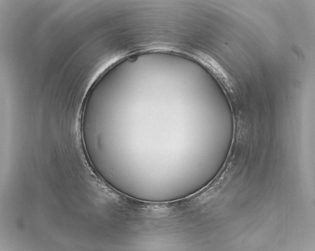 X0000115521190200911201653