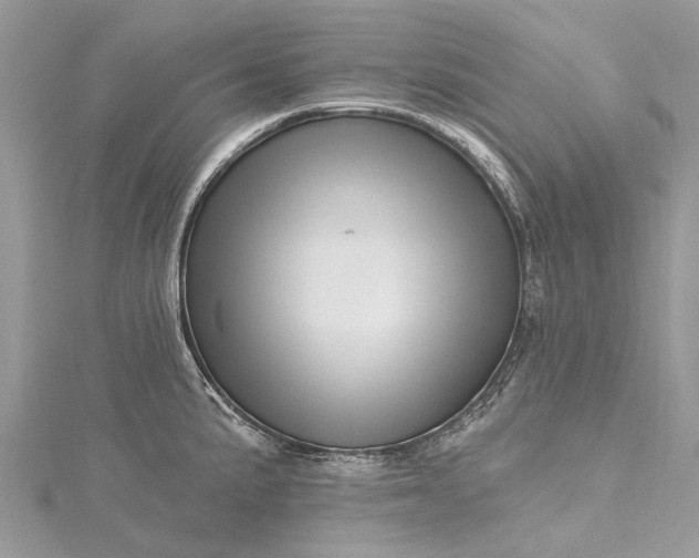 X0000115521191200911201653