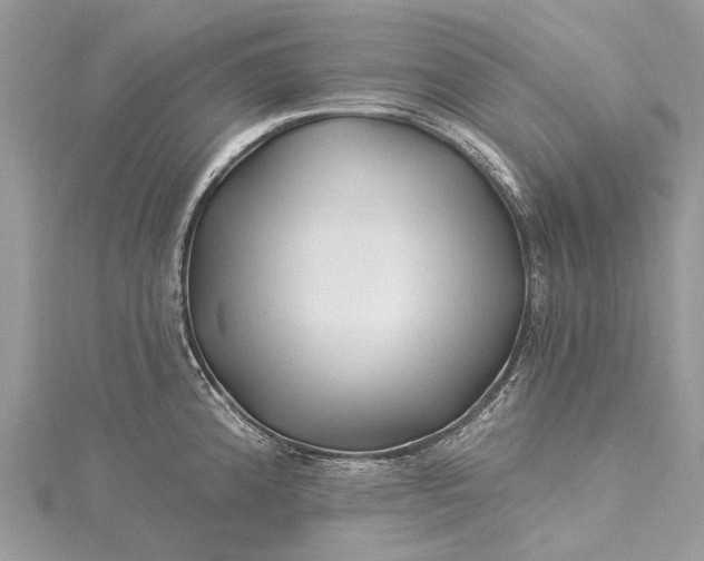 X0000115521192200911201653