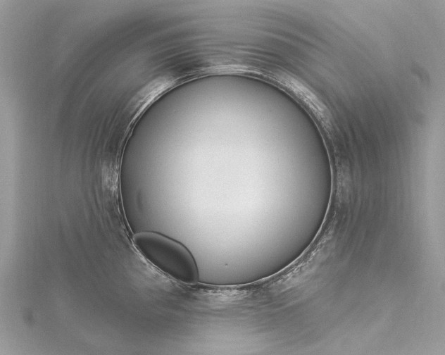 X0000115521193200911201653