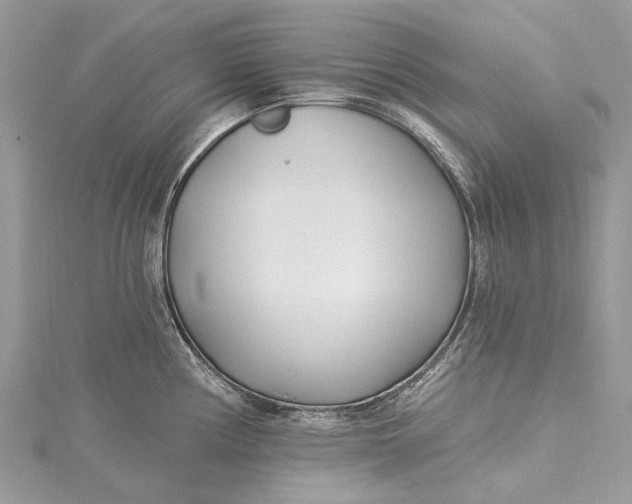 X0000115521194200911201653