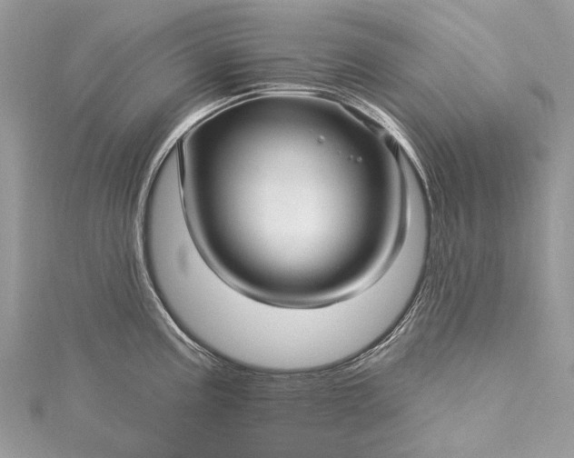 X0000115521195200911201652