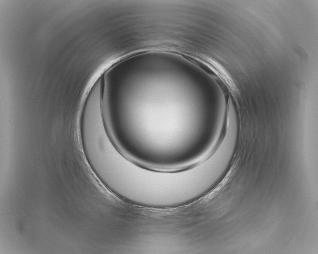 X0000115521196200911201652