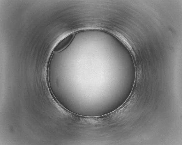 X0000115521197200911201652