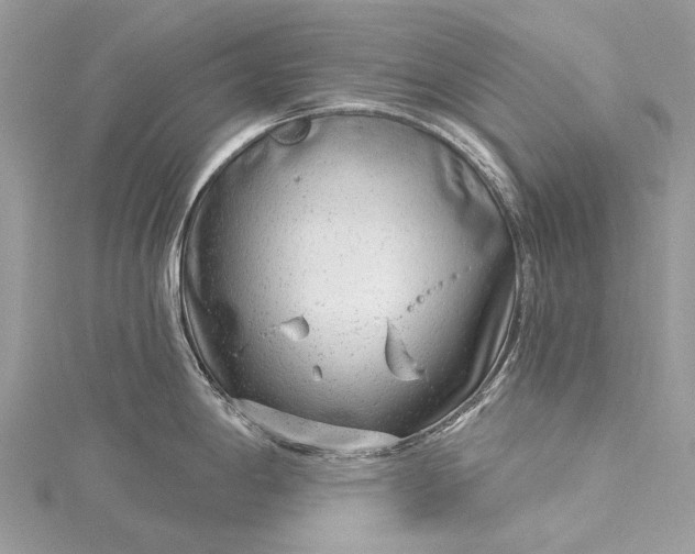 X0000115521198200911201652