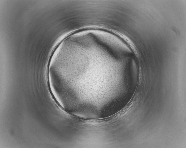 X0000115521199200911201652