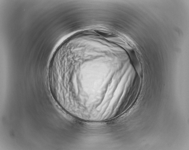 X0000115521200200911201652