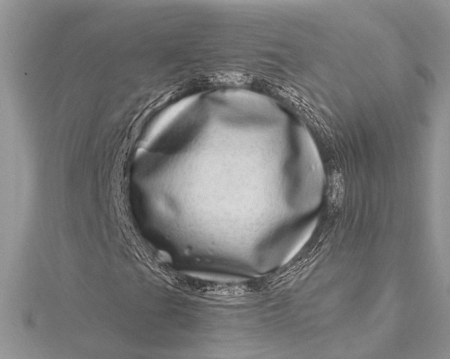 X0000115521201200911201652