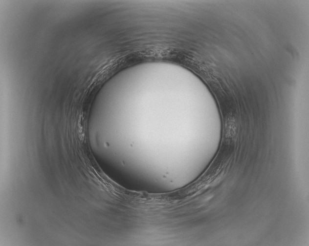 X0000115521202200911201652