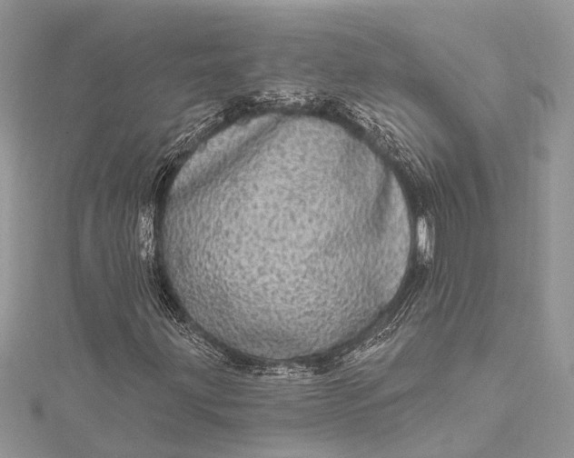 X0000115521203200911201652