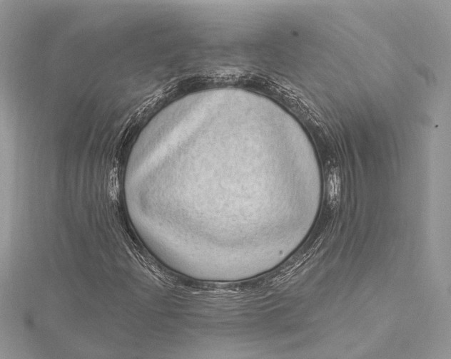 X0000115521204200911201652