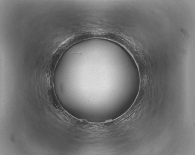 X0000115521205200911201652